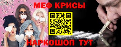 спайс Кингисепп
