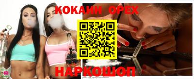 спайс Кингисепп