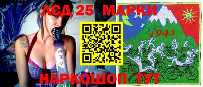 спайс Кингисепп