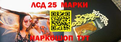 спайс Кингисепп