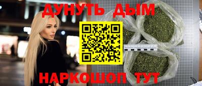 спайс Кингисепп