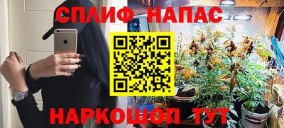 гидропоника Кинель