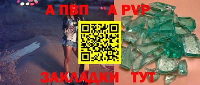 спайс Кингисепп