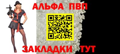 спайс Кингисепп