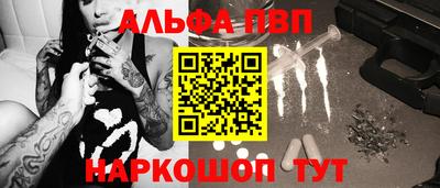 спайс Кингисепп